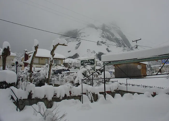 Guest house Zozas 3*